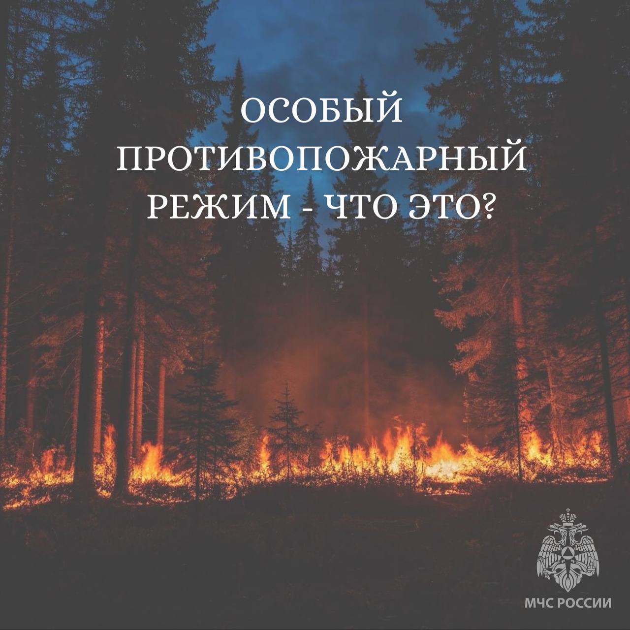? Особый противопожарный режим в Омском муниципальном районе! ?.